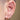Conch