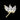 Solid Gold Tri Marquise Stud