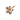 Textured Star Stud